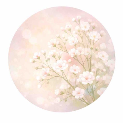 Mai/フォロバします