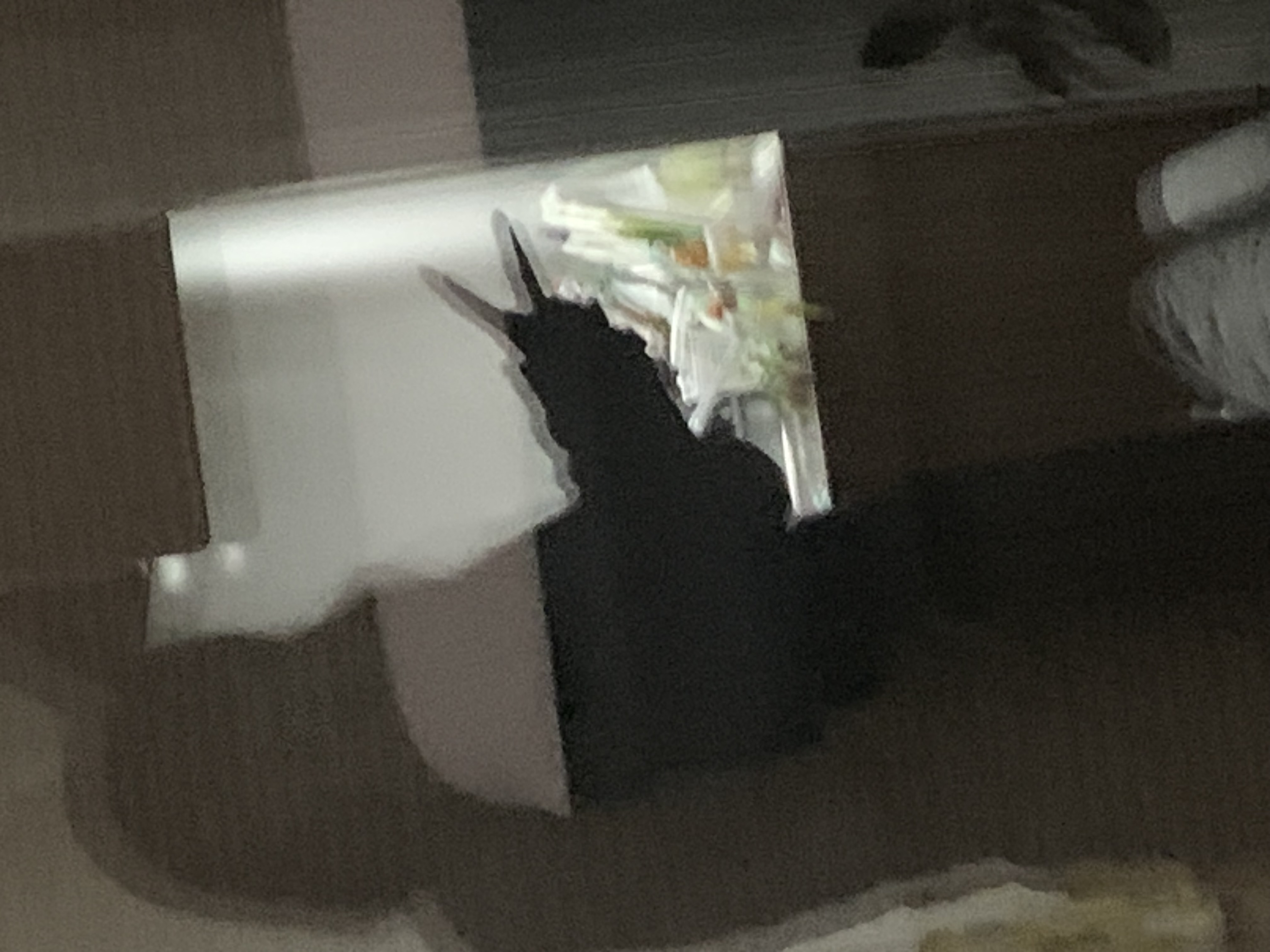 生活音大好き女