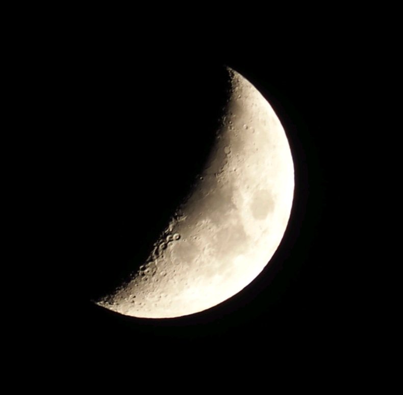 みる🌙フォロバ