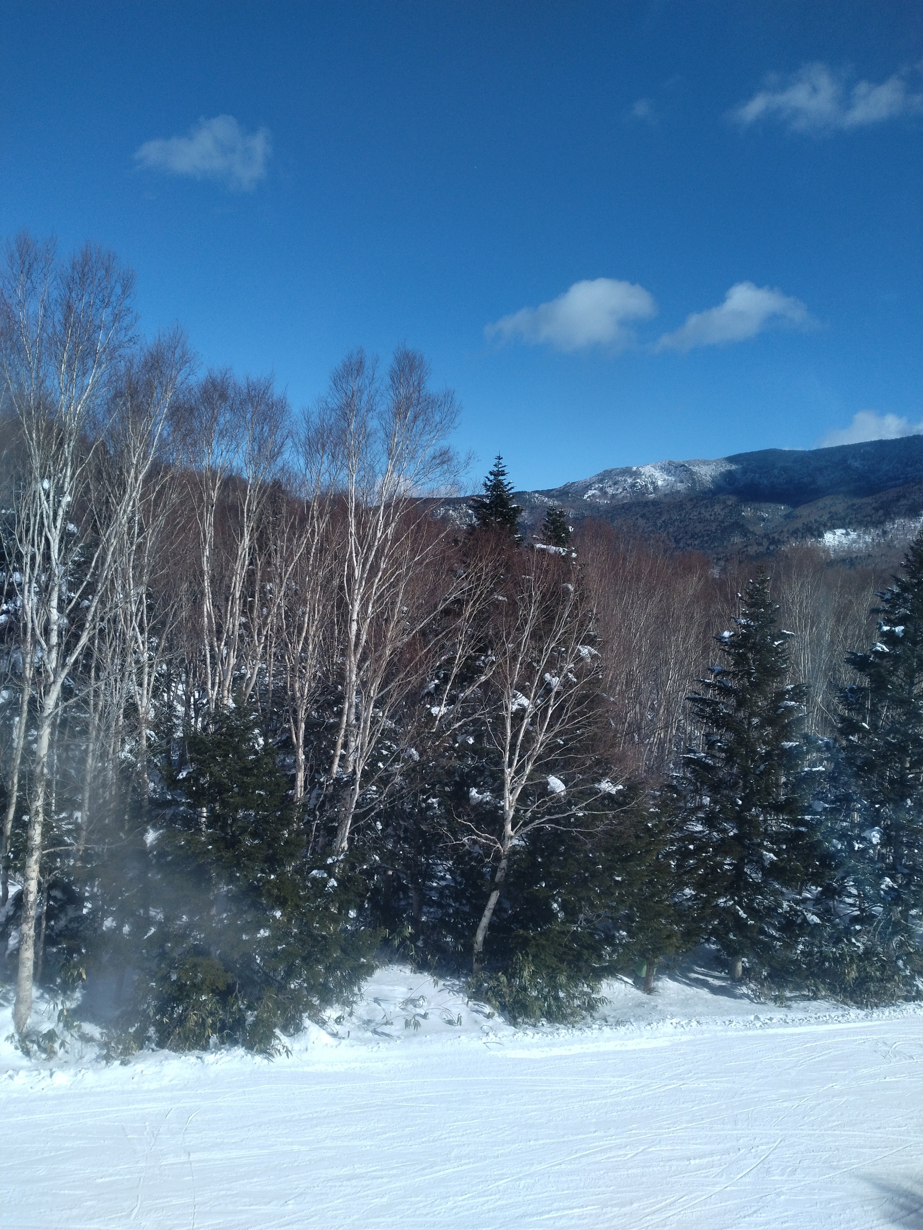 ぽにょの新しいサブ垢