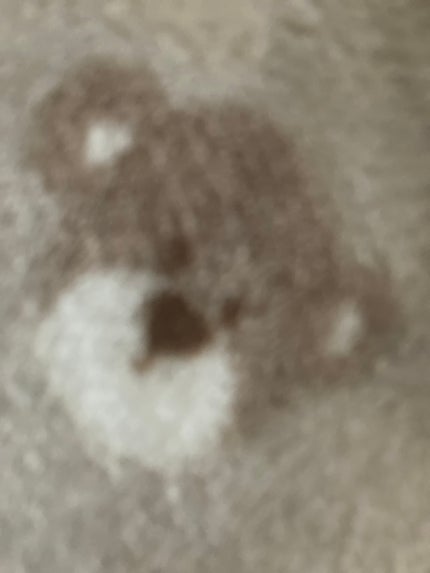 麦畑ココア☕️