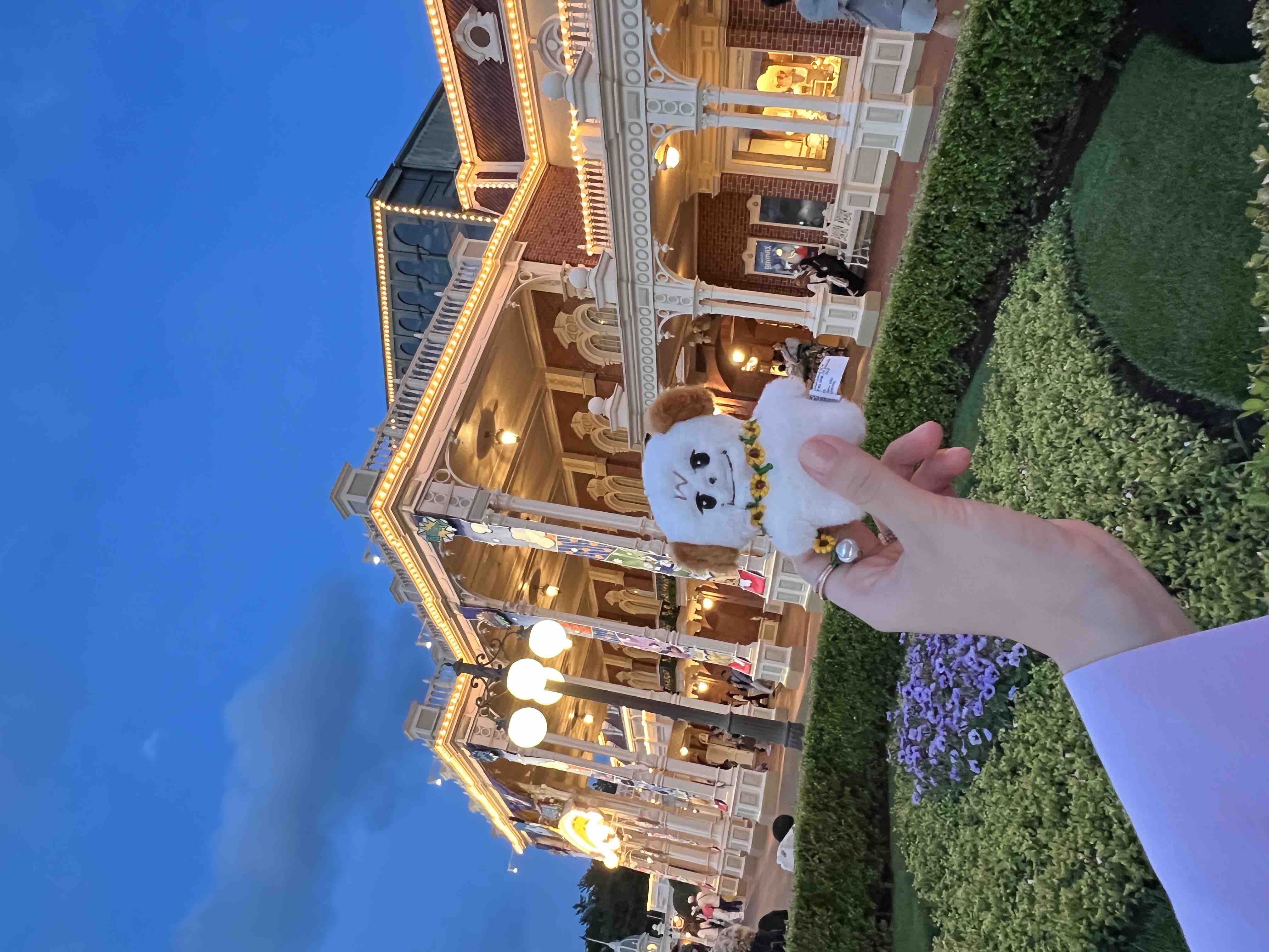 アリス🤍ྀི投稿ある方フォロバ