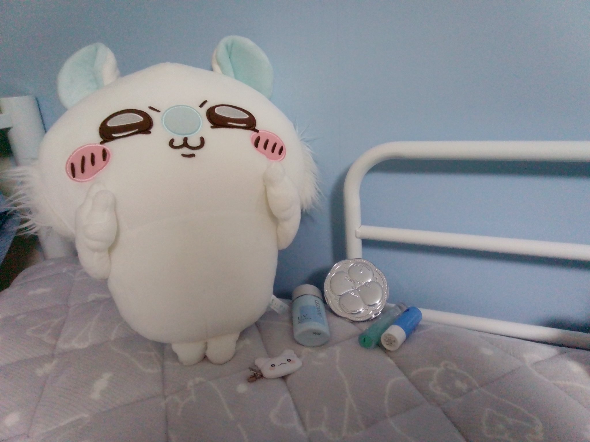 みずいろひなちゃん🐣🩵