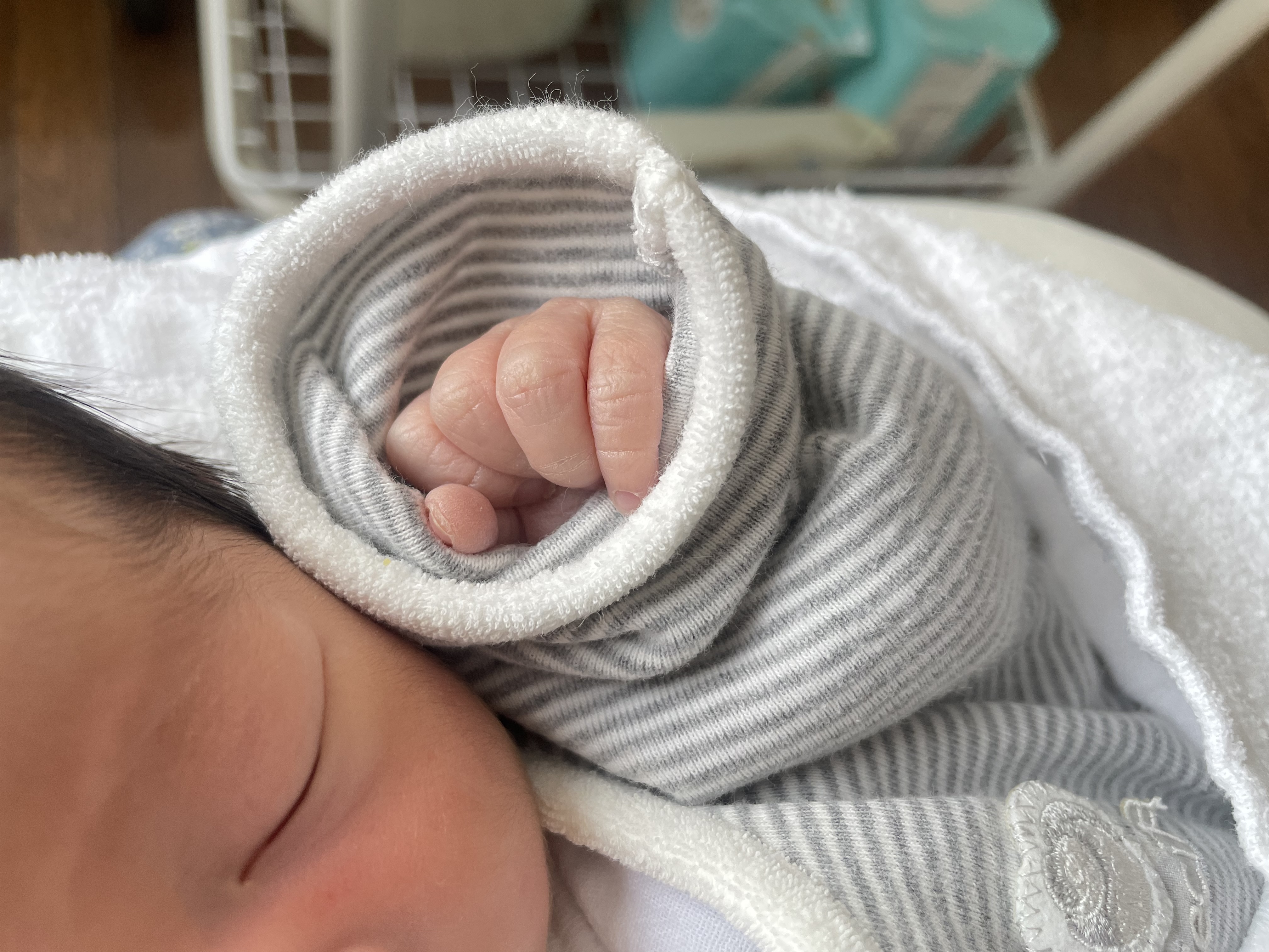 白米＠フォロバ100