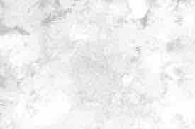 きなこ💎フォロバ