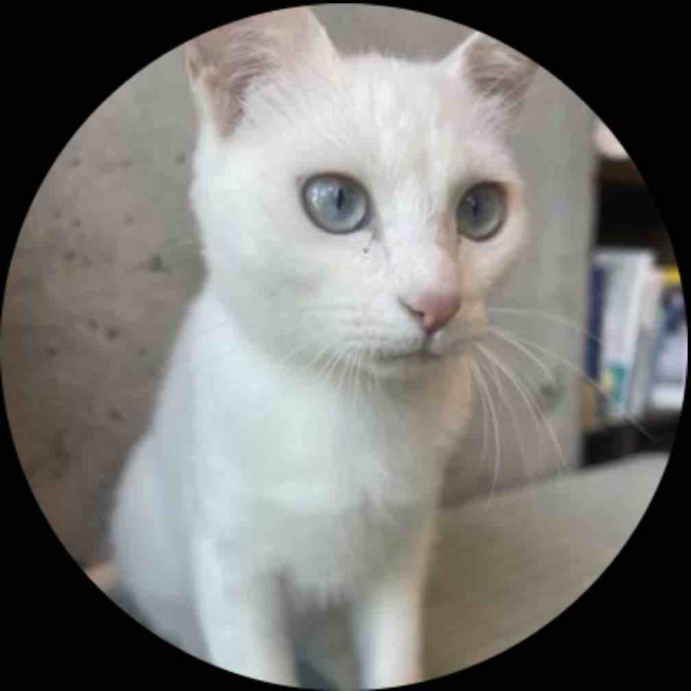 saa328sa フォロバ100  