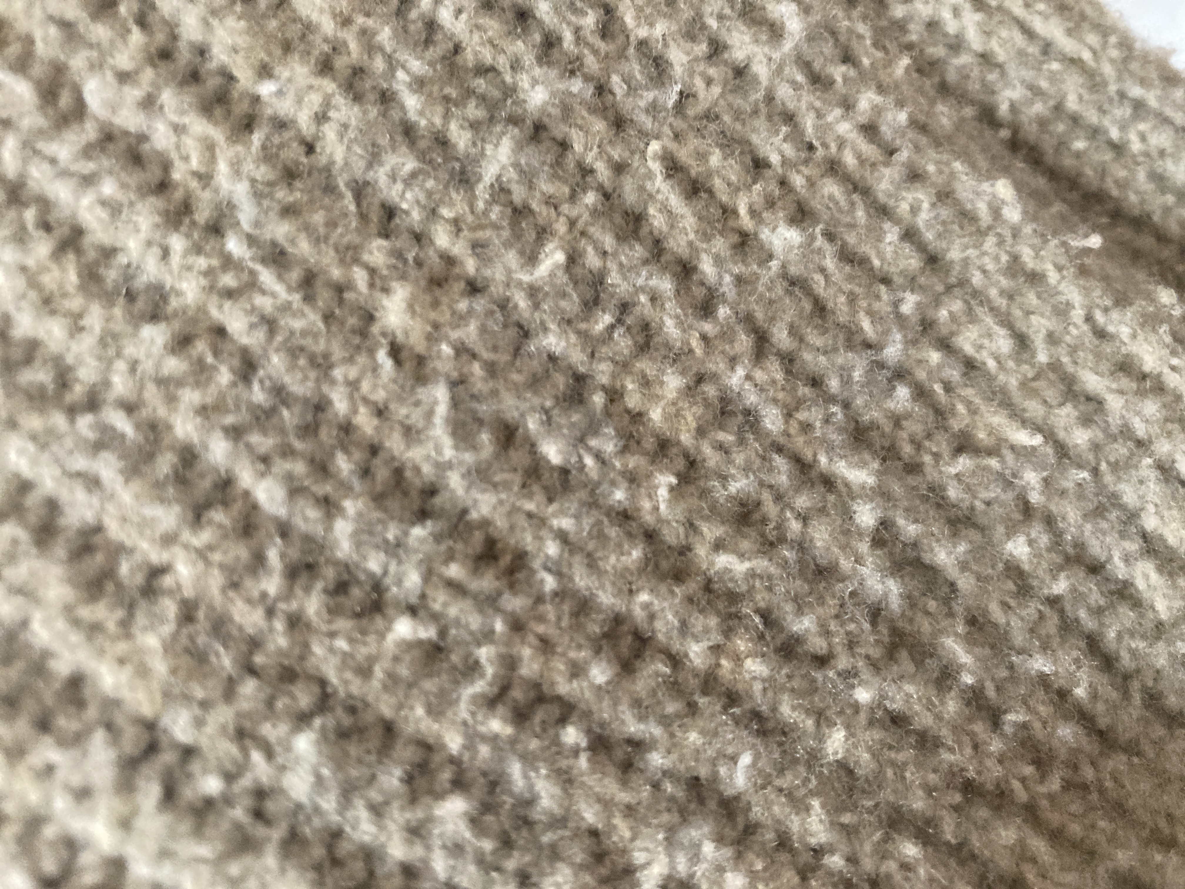 気をつけピーマン🫑