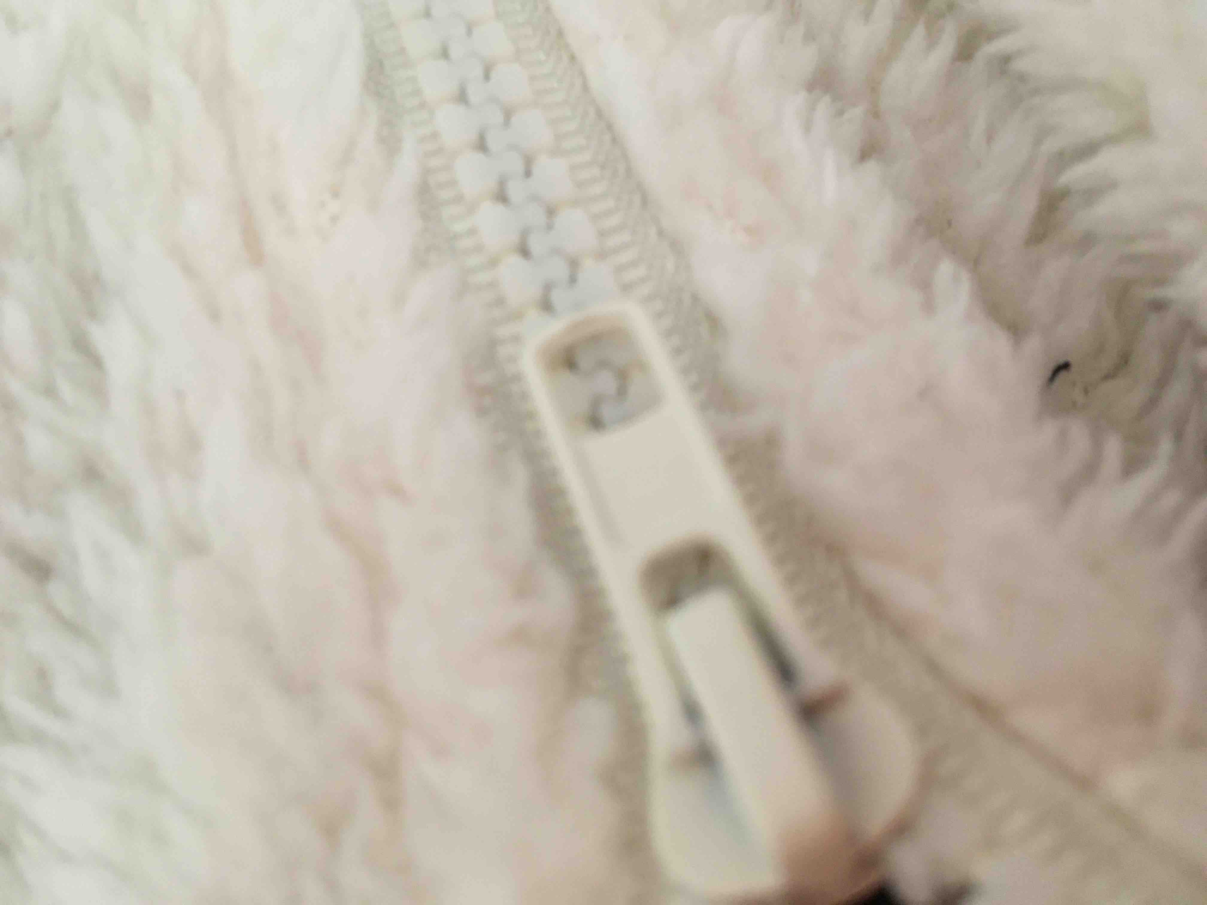 人見知りの天才🪄