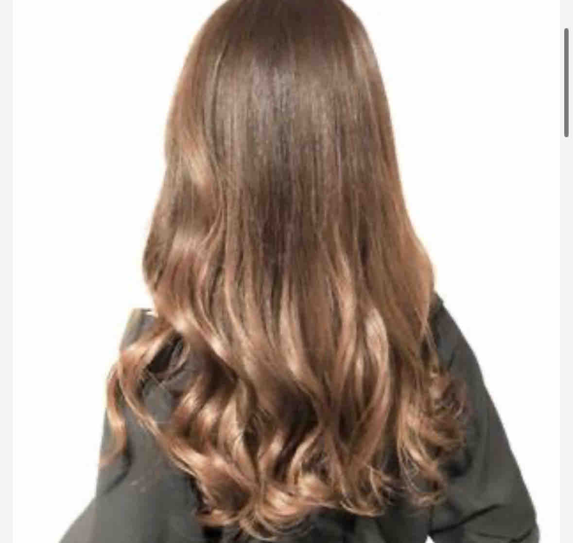 ワイルドキャッツ