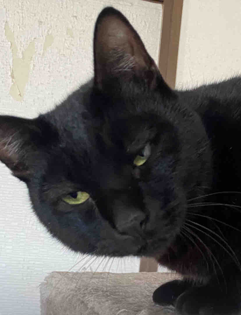 ＹUKi09🌸フォロバ