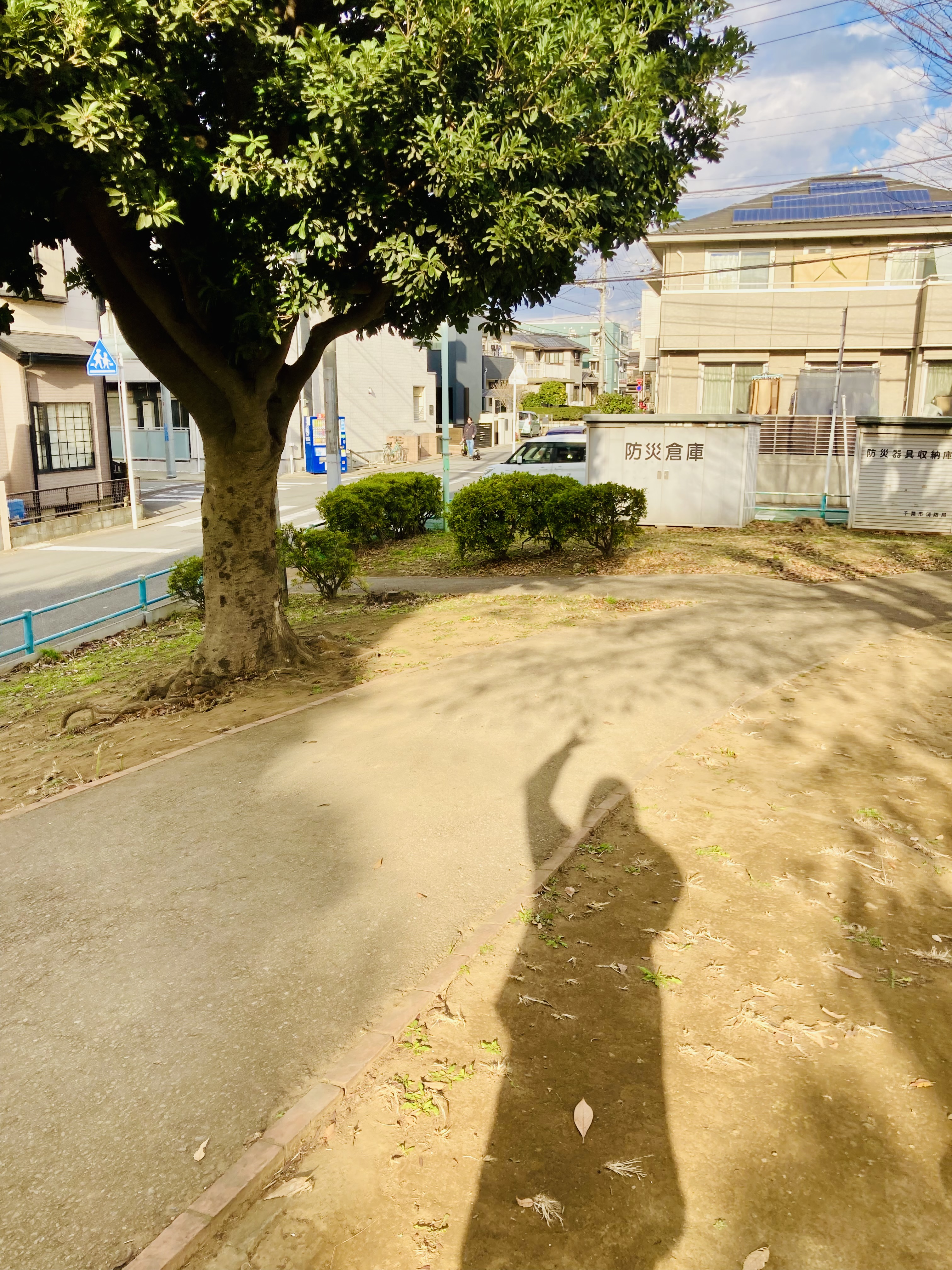 芋女子コットン❗️