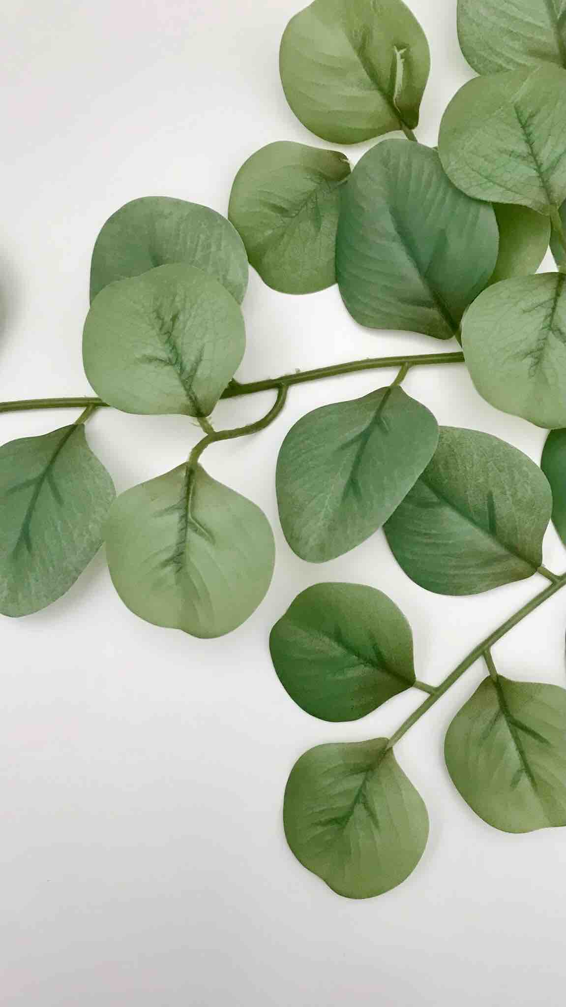 きぎ / フォロバします