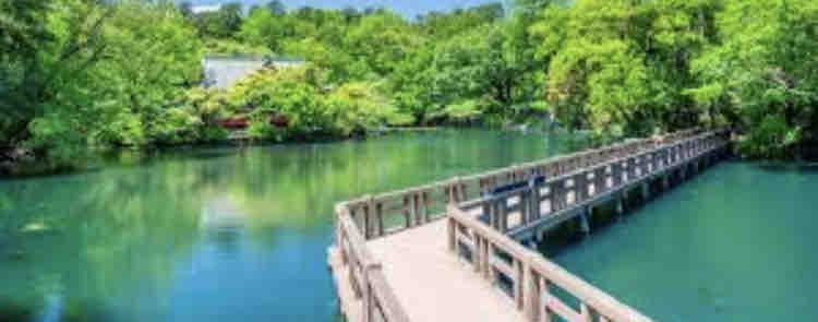 肘ガンガンガン