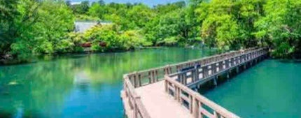 肘ガンガンガン