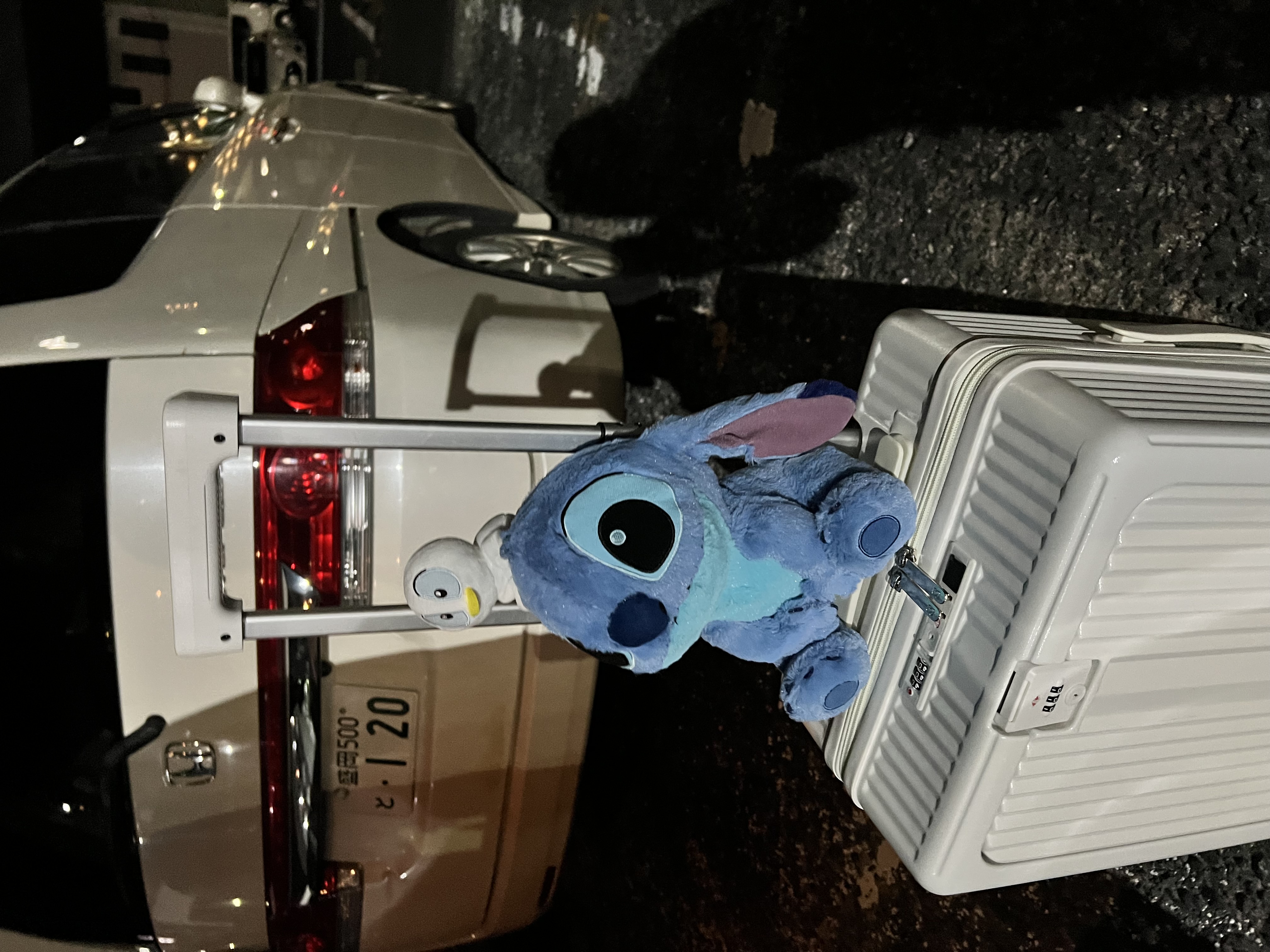 @chiharu_𝜗𝜚˚⋆