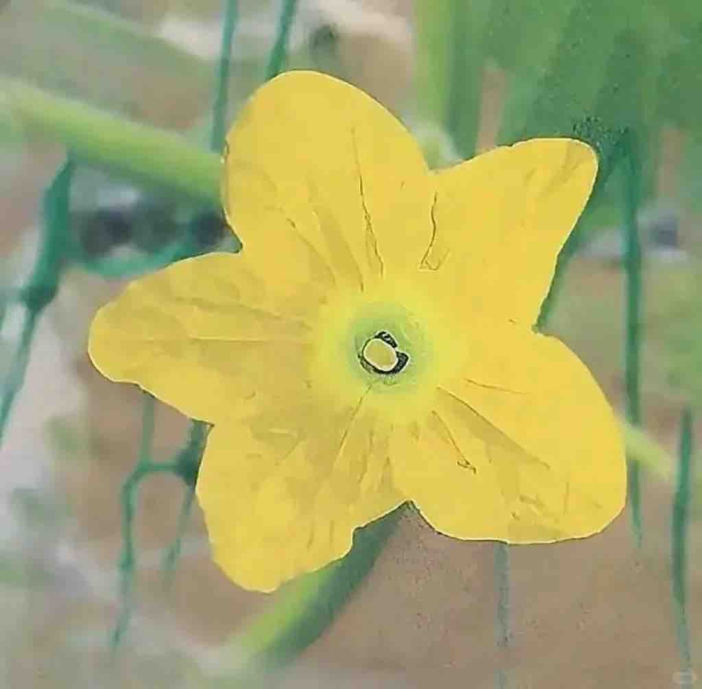 名無しのコスメ好きさん