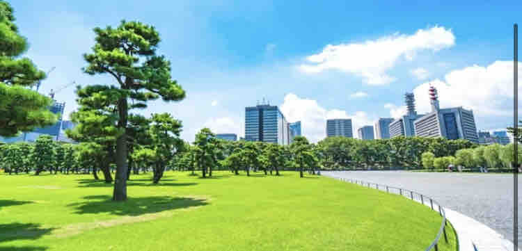 りおの黒板消し