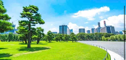 りおの黒板消し