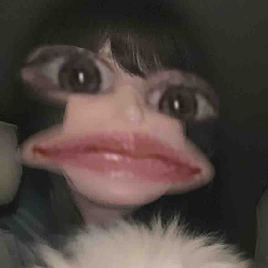 kaori 🪿フォロバします☁️