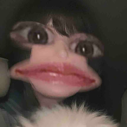 kaori 🪿フォロバします☁️