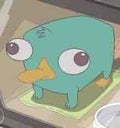 君はTや