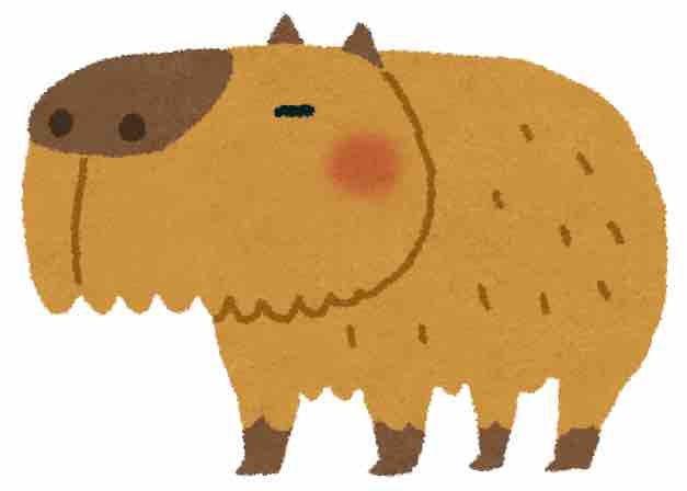 鰯の人生相談🔮