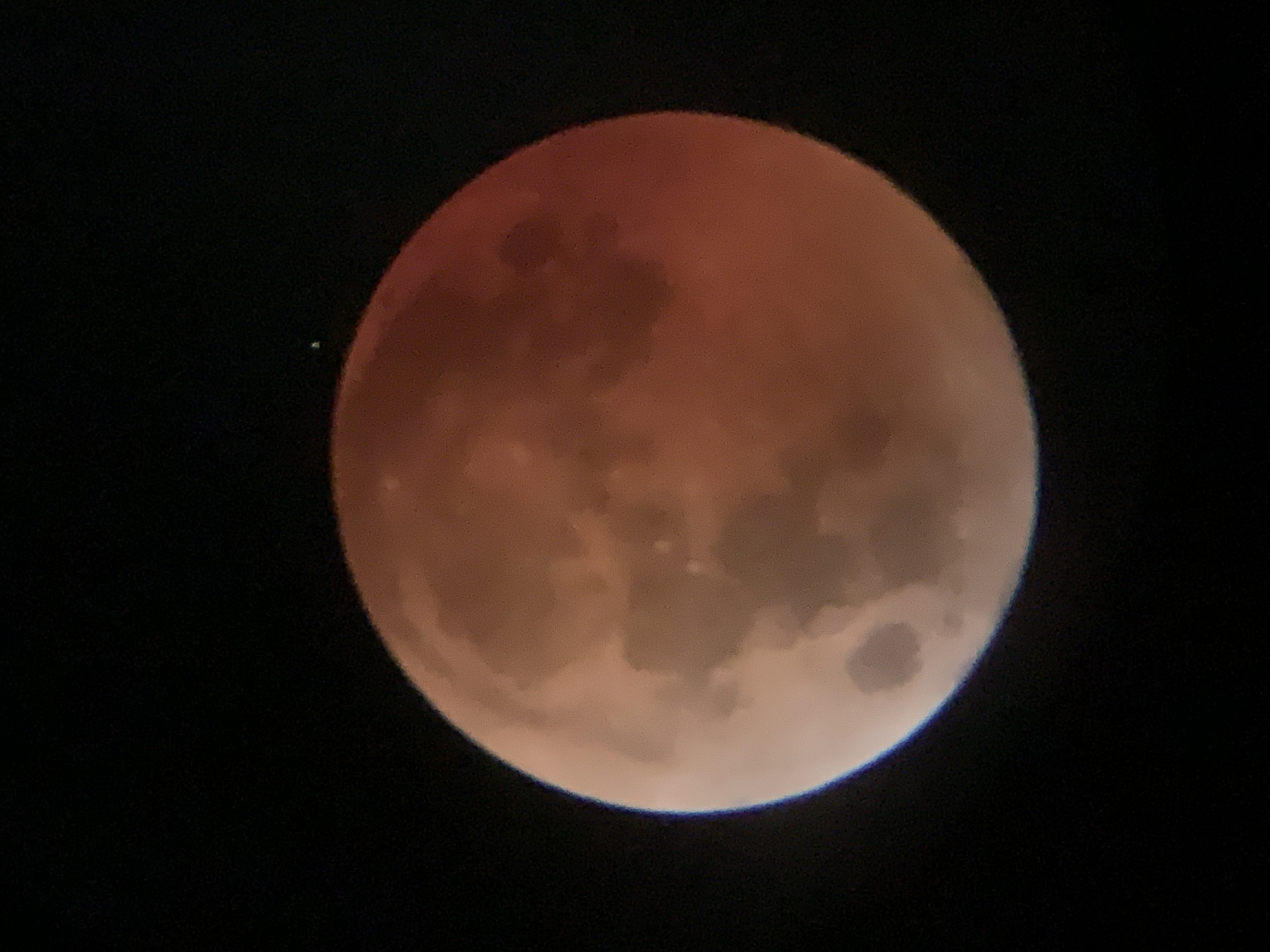 🐈‍⬛むぎ🐾