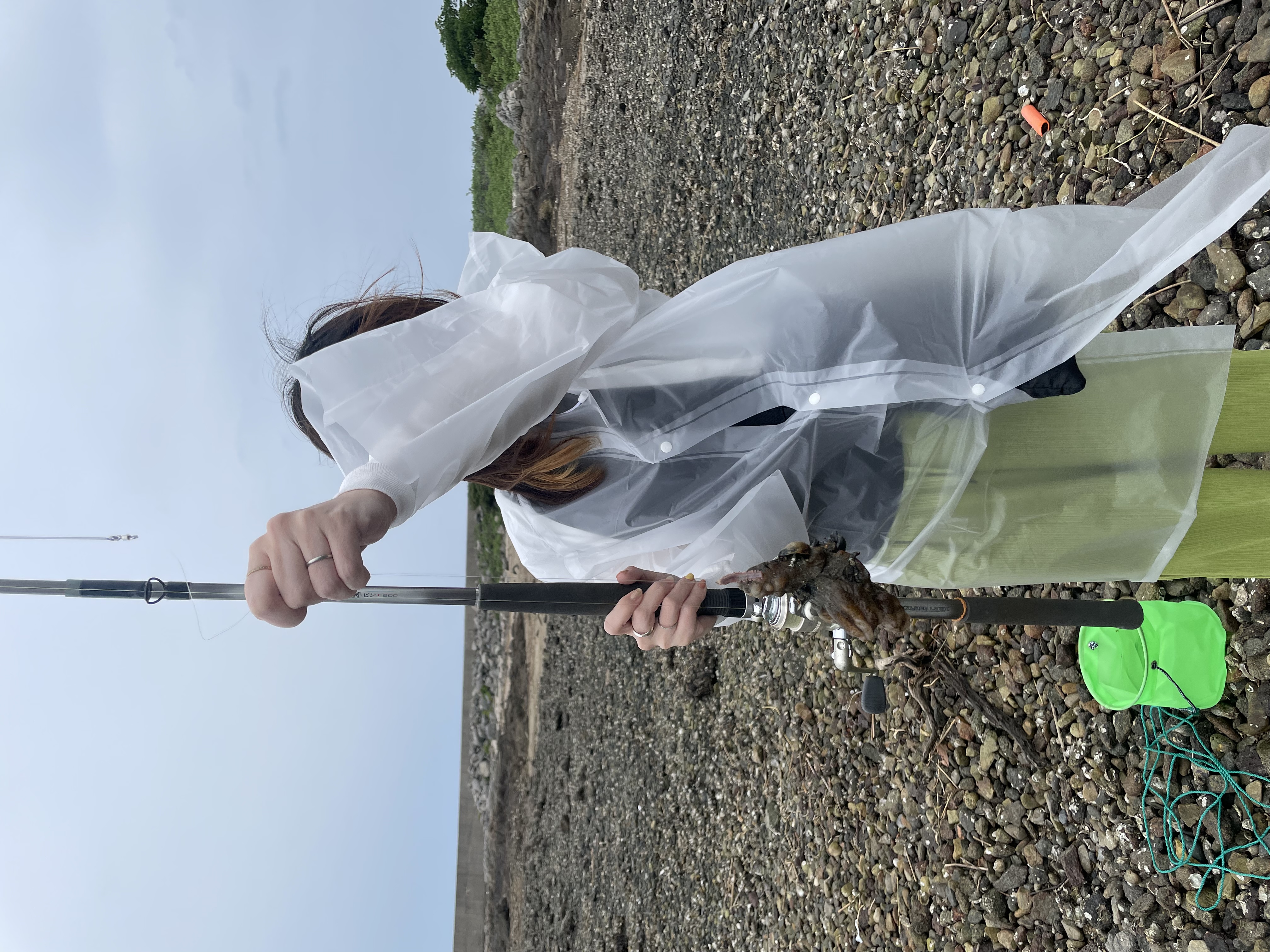 辛口評価と正直でいきたい