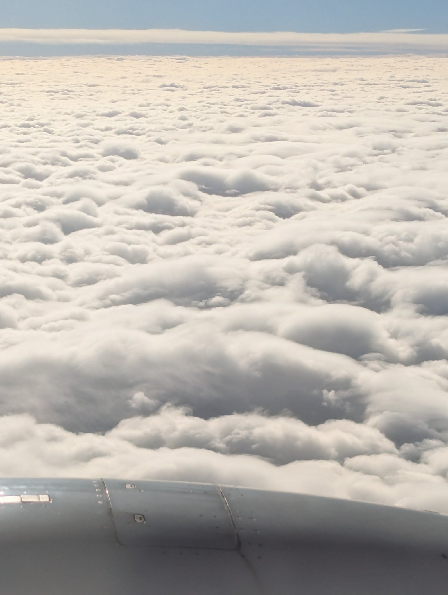 Love(⁠◍⁠•⁠ᴗ⁠•⁠◍⁠)