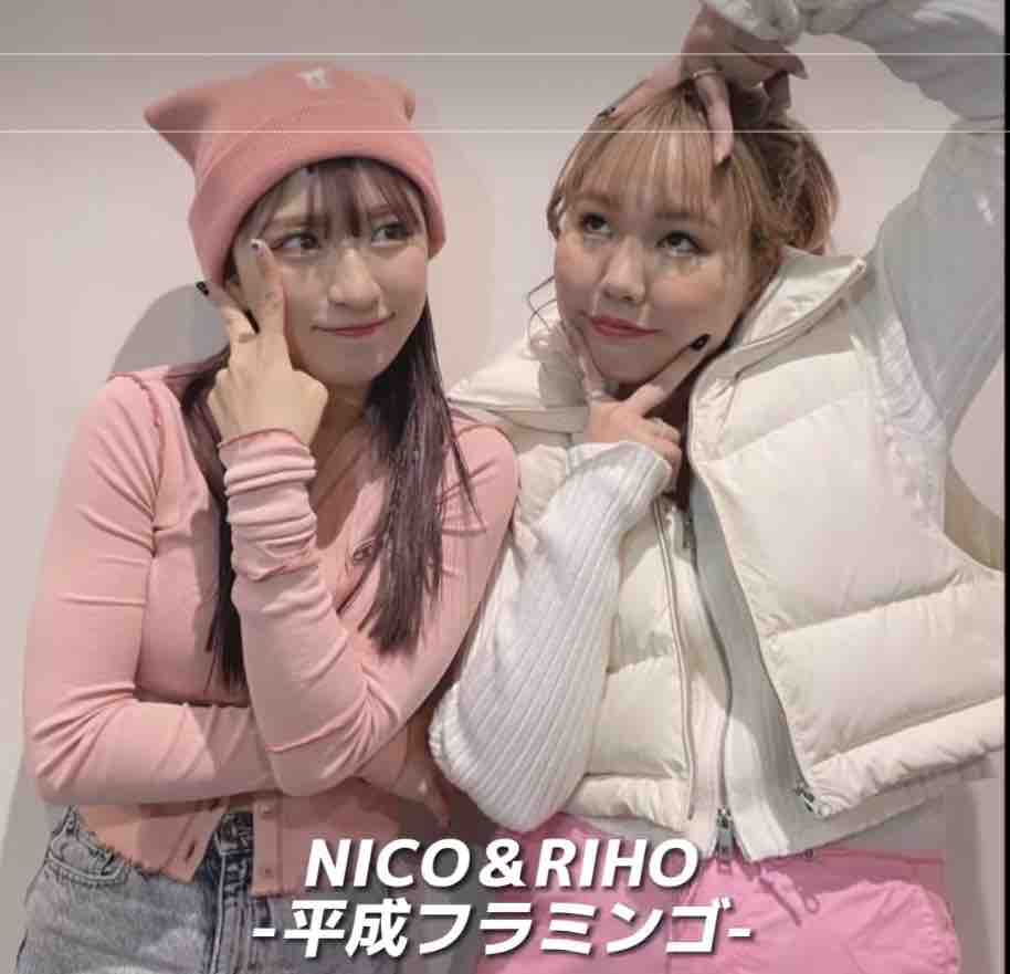 平成フラミンゴ推し