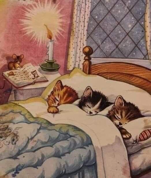 おやすみニャンちー