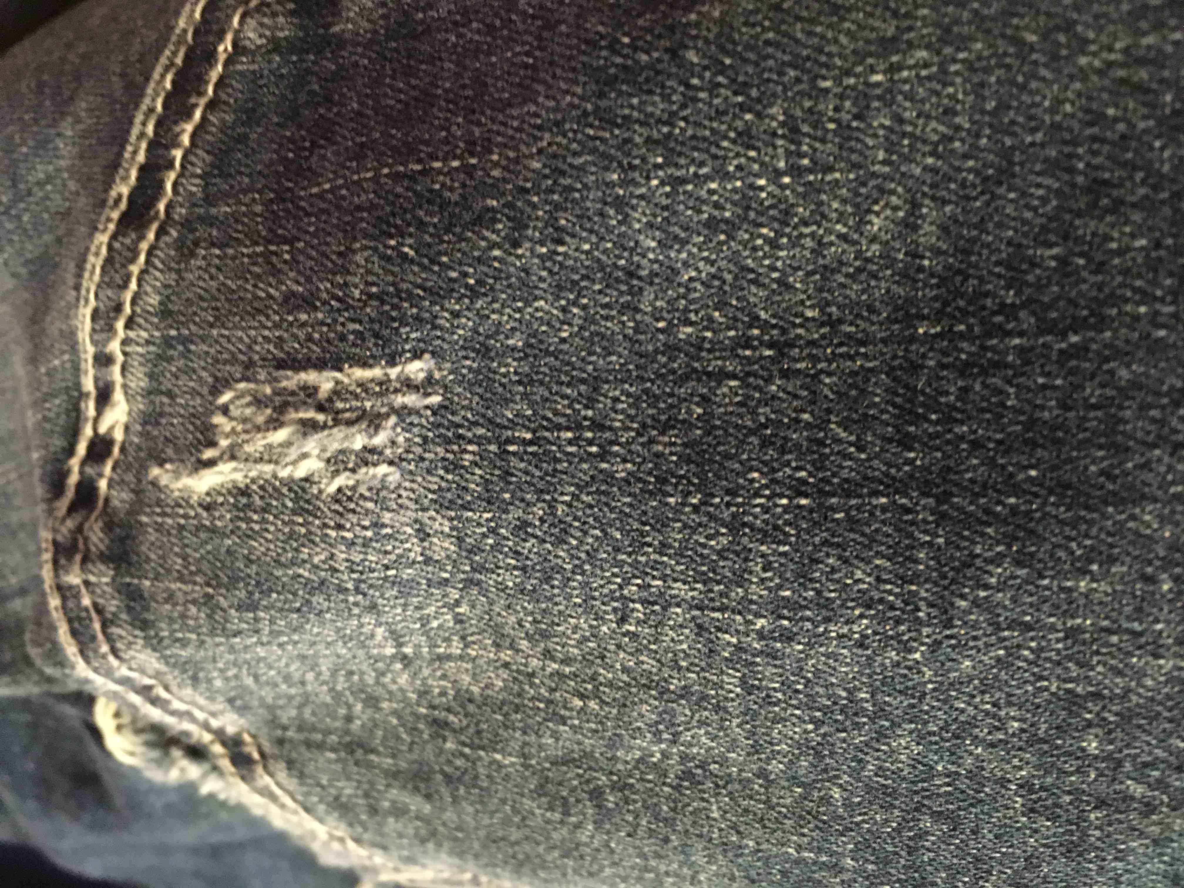 めだかクラブ🐟