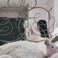 しらたま/  脱ファンデ目指し中