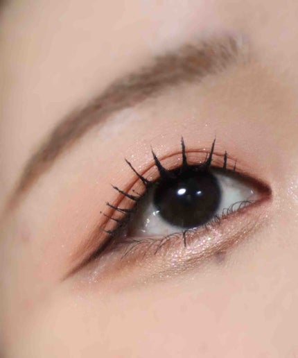 ニジ🌈  フォロバ🙆♀️