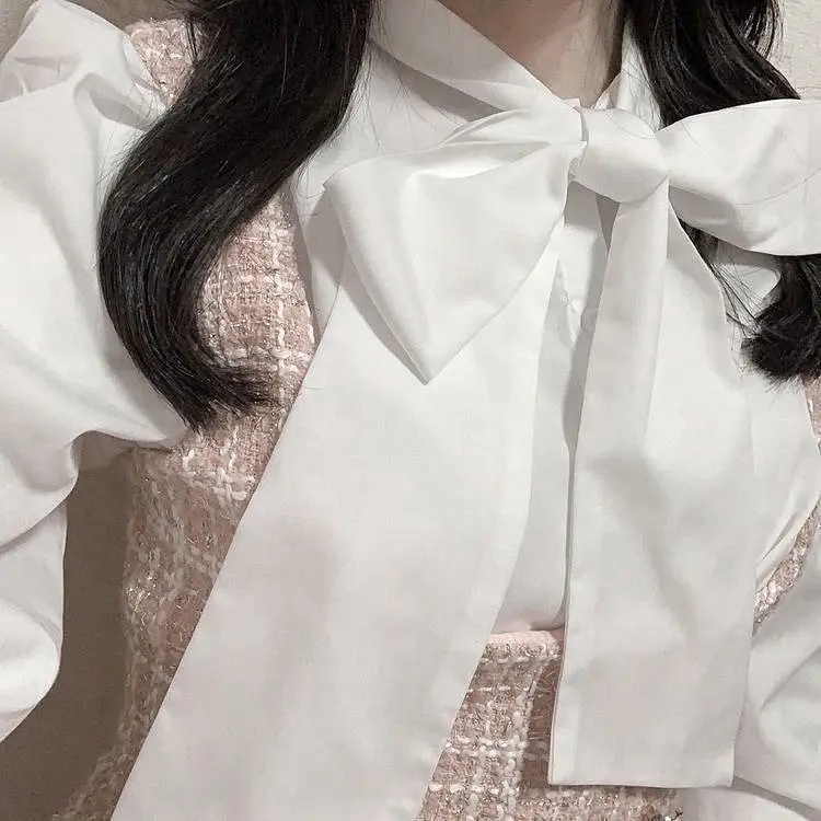 も も は 活動休止中