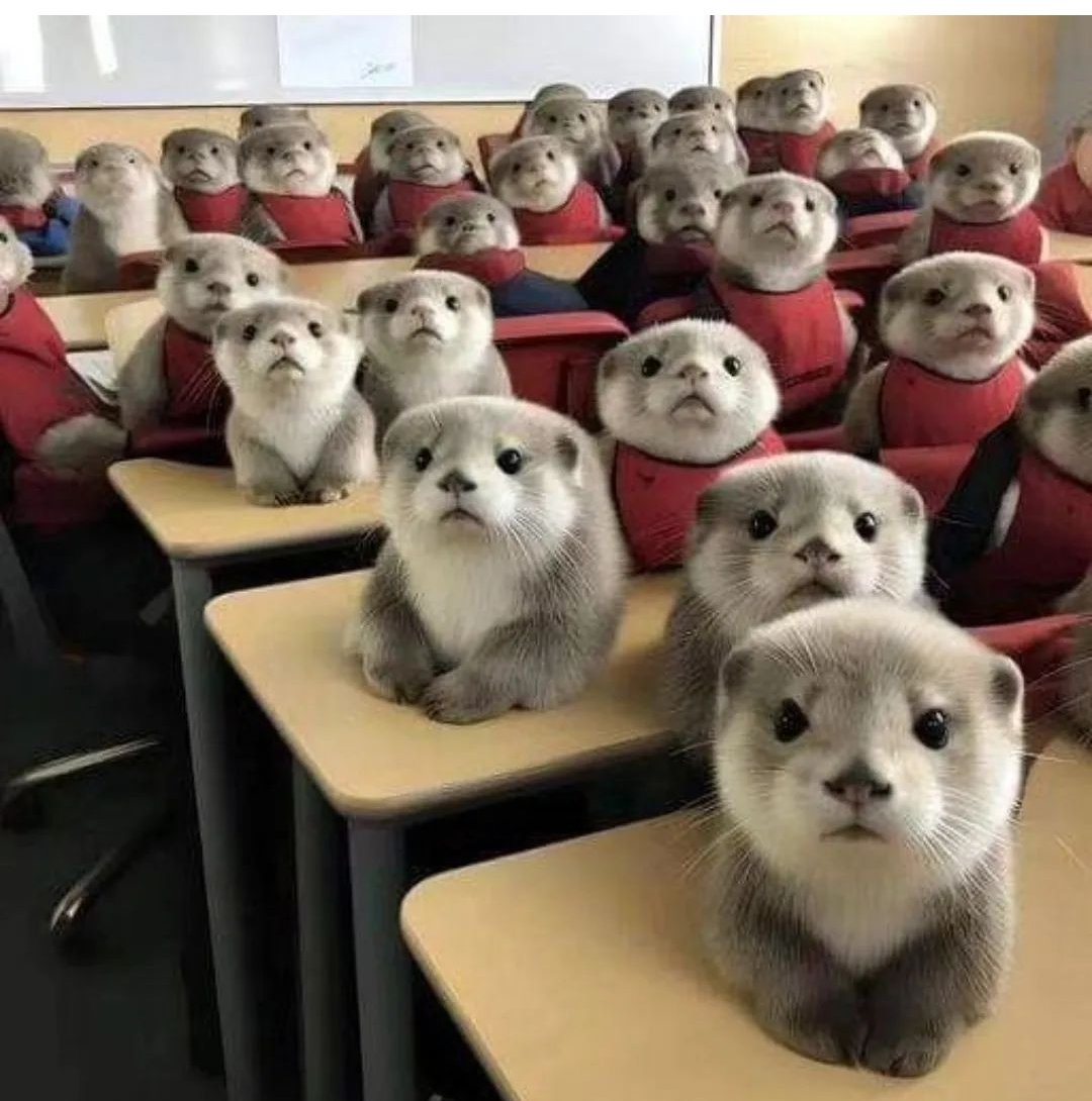 tamaoshiny_beauty_kjko