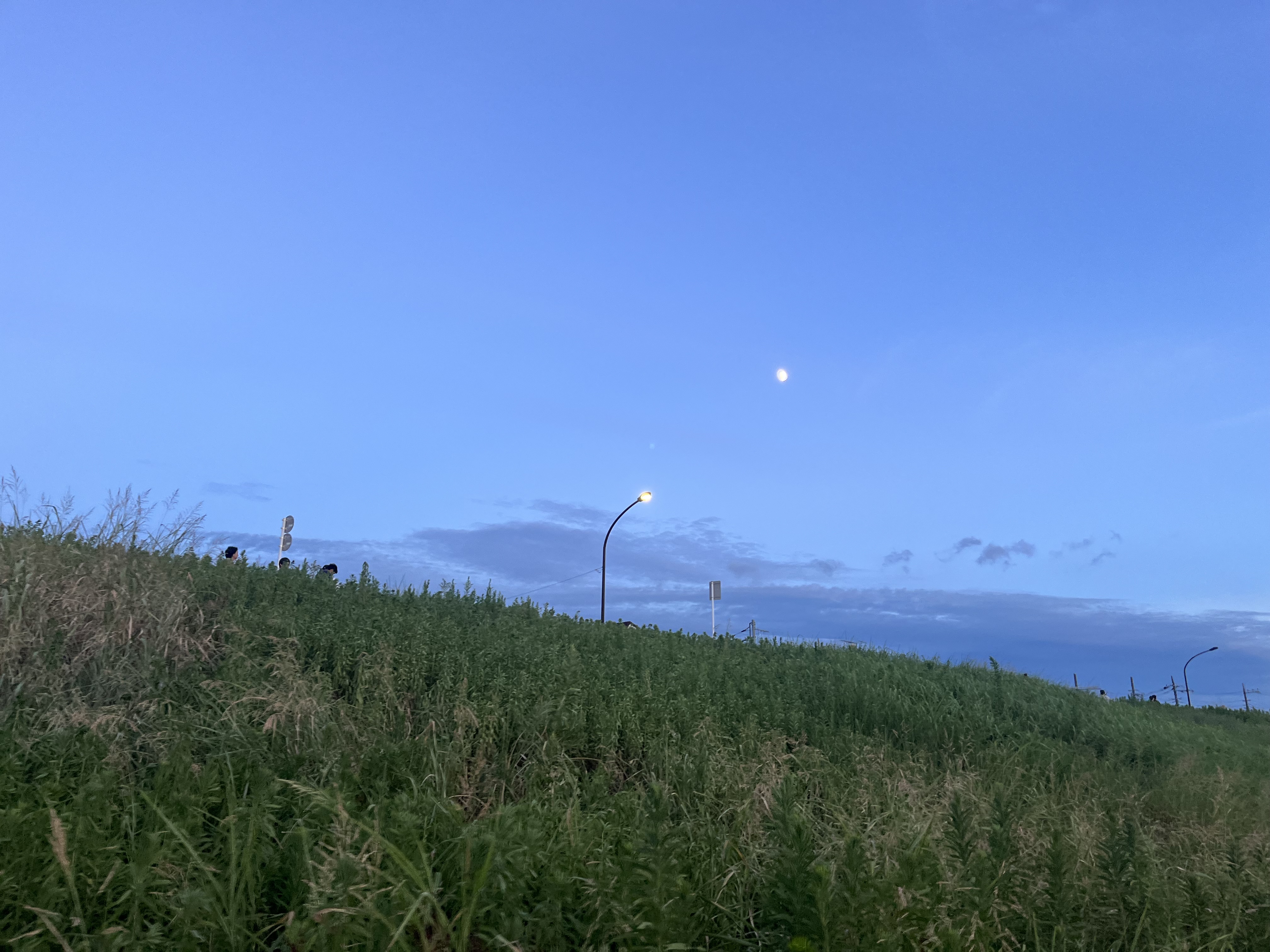 佐藤 なゆ🌱✨🌸