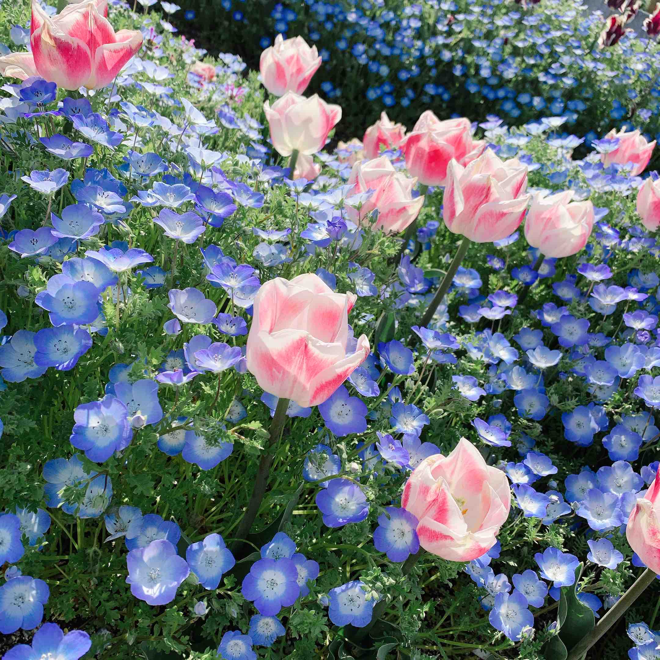 I🏹🤍フォロバ100