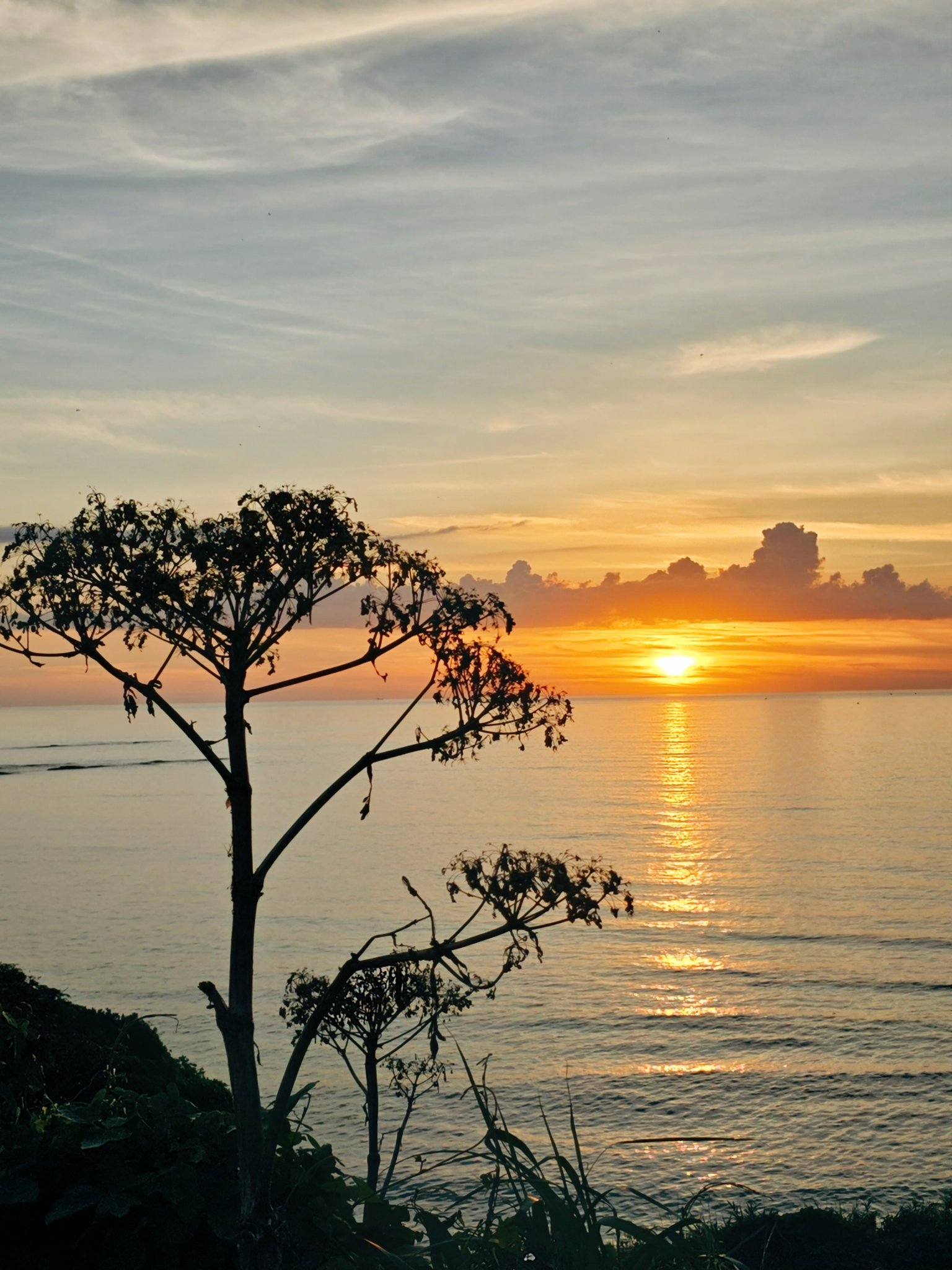 たんたんめんたん 《フォロバ》