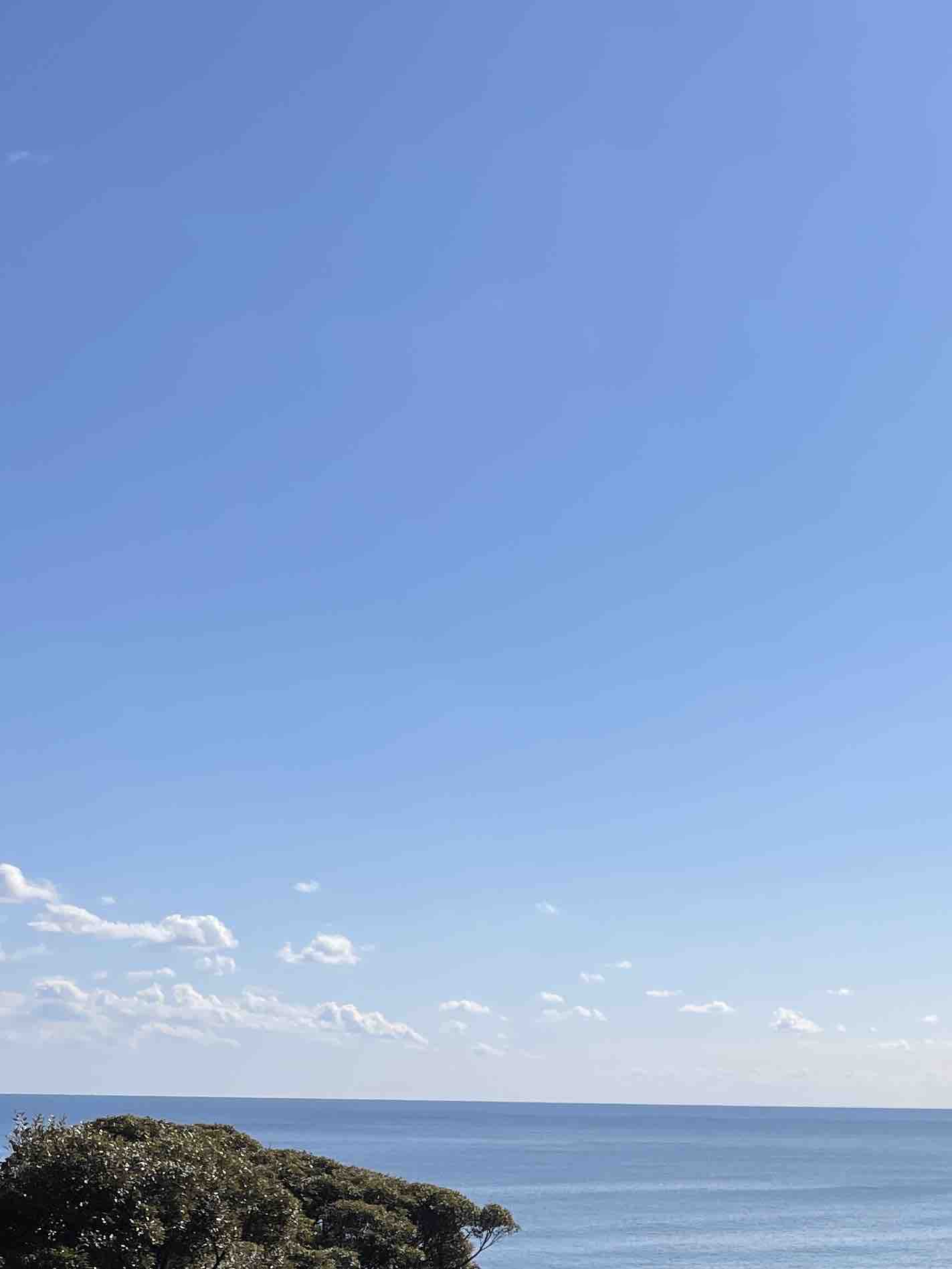 ぱんぷきんきん