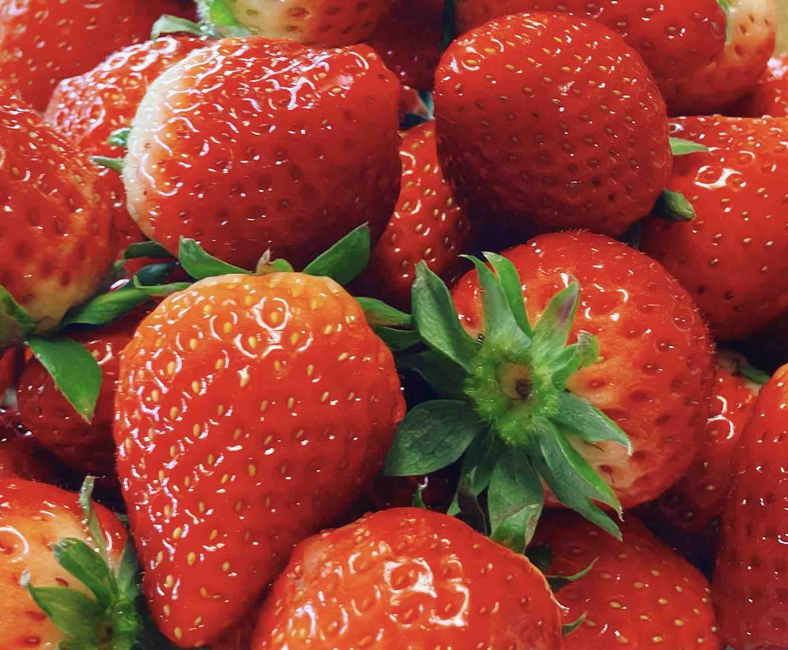 ゆっちゃんさん　フォロバ100%