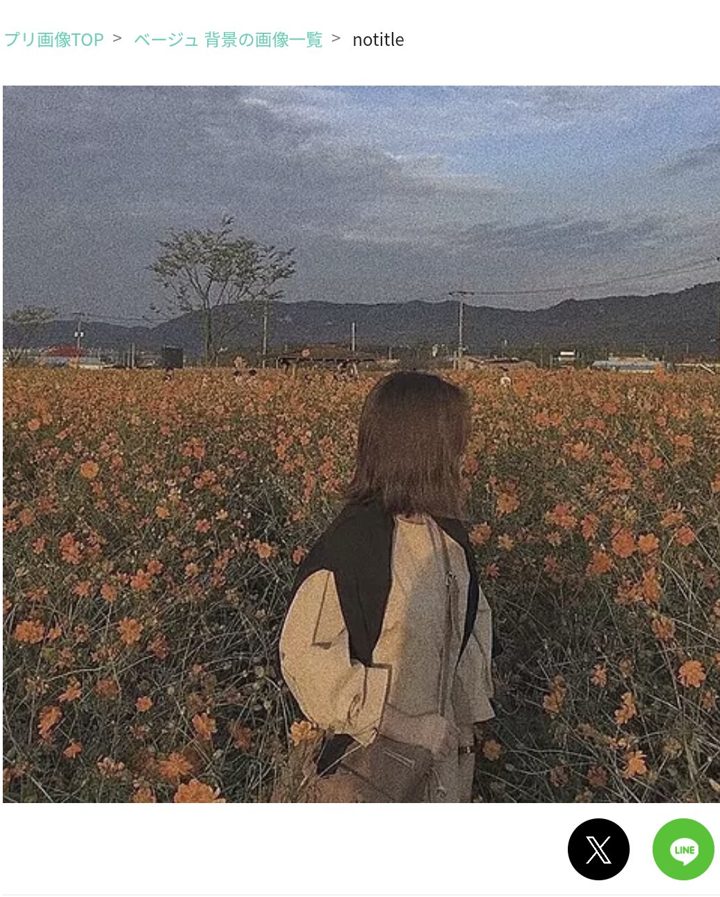 yuri🪿フォロバ100