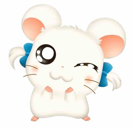 はむ