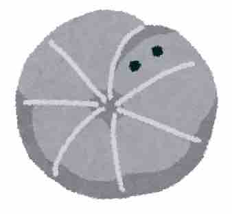 ストイックダンゴムシ🥊