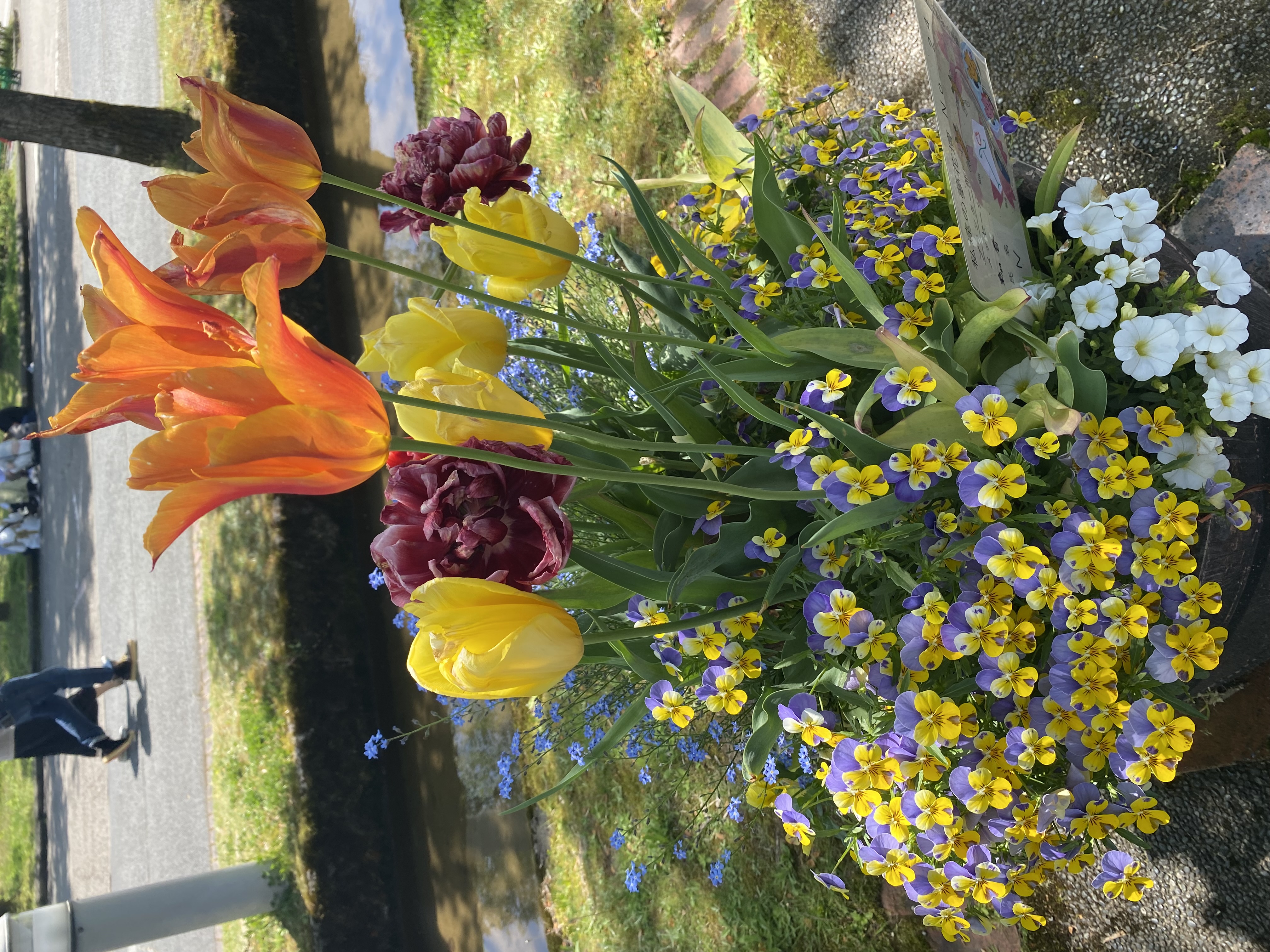 mocca🌿🪻🍂【フォロバします😊】