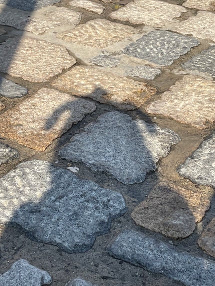 ₹˝ャʓになりたい