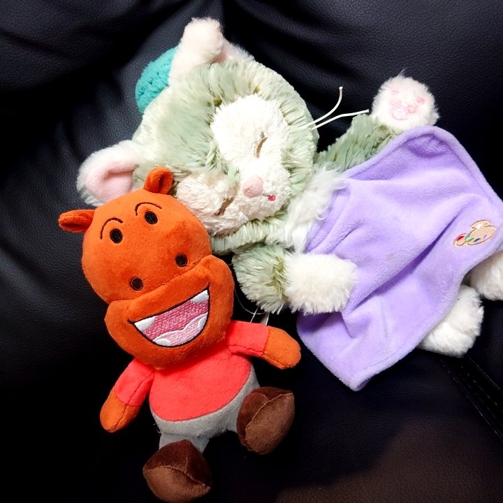 ラヴィ姫フォロバします♡