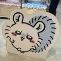 わんこ