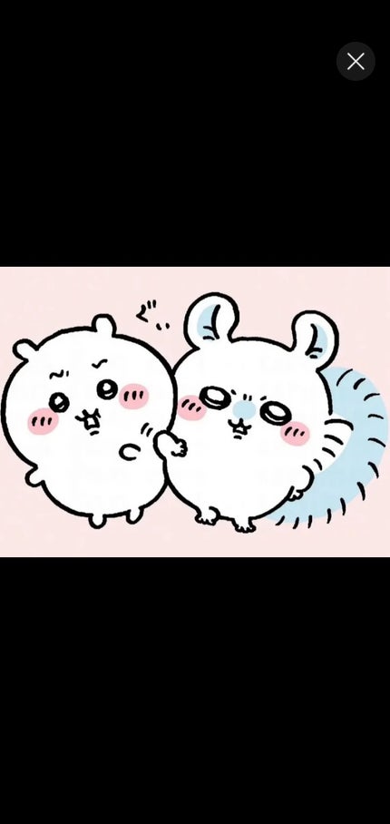 うさぎ