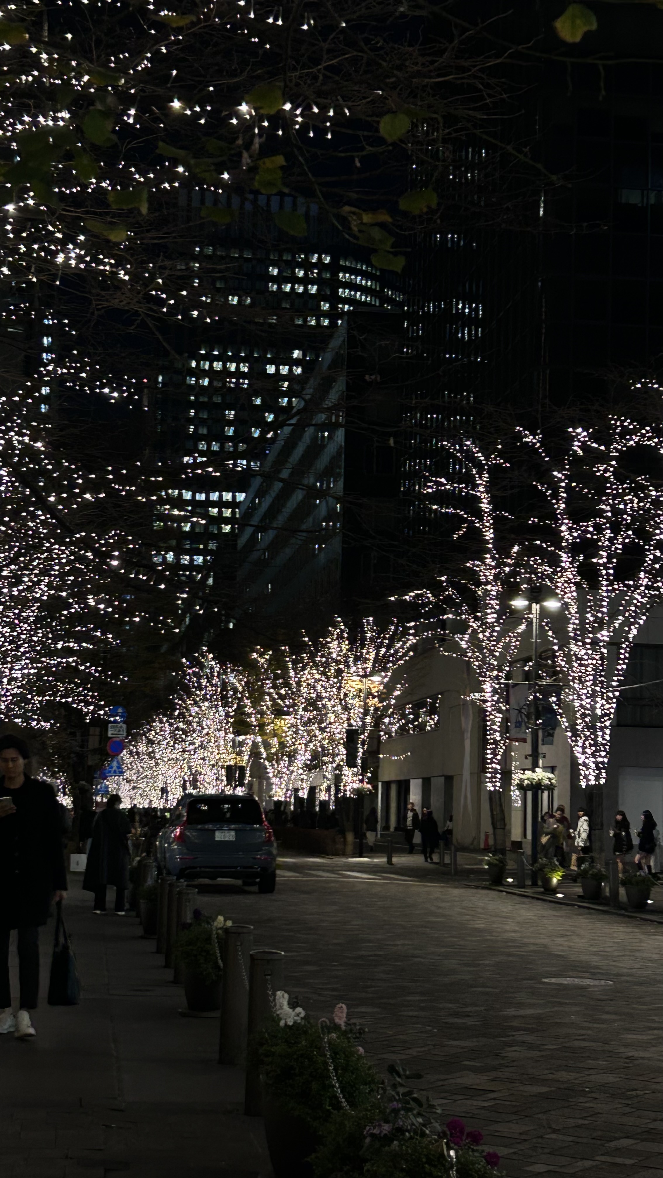 りあ　フォロバ